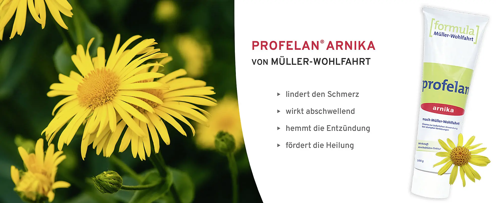 HeadImage | PROFELAN-Arnika Schmerzcreme von Müller-Wohlfahrt HeadImage | PROFELAN-Arnika Schmerzcreme von Müller-Wohlfahrt