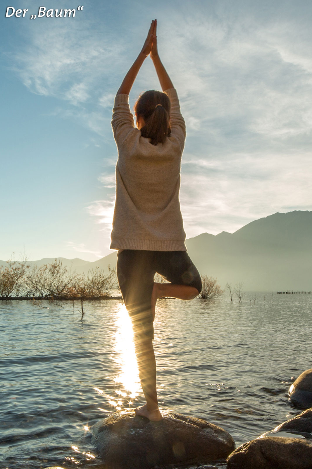 Yoga - vereint Körper, Geist und Seele | Der Baum